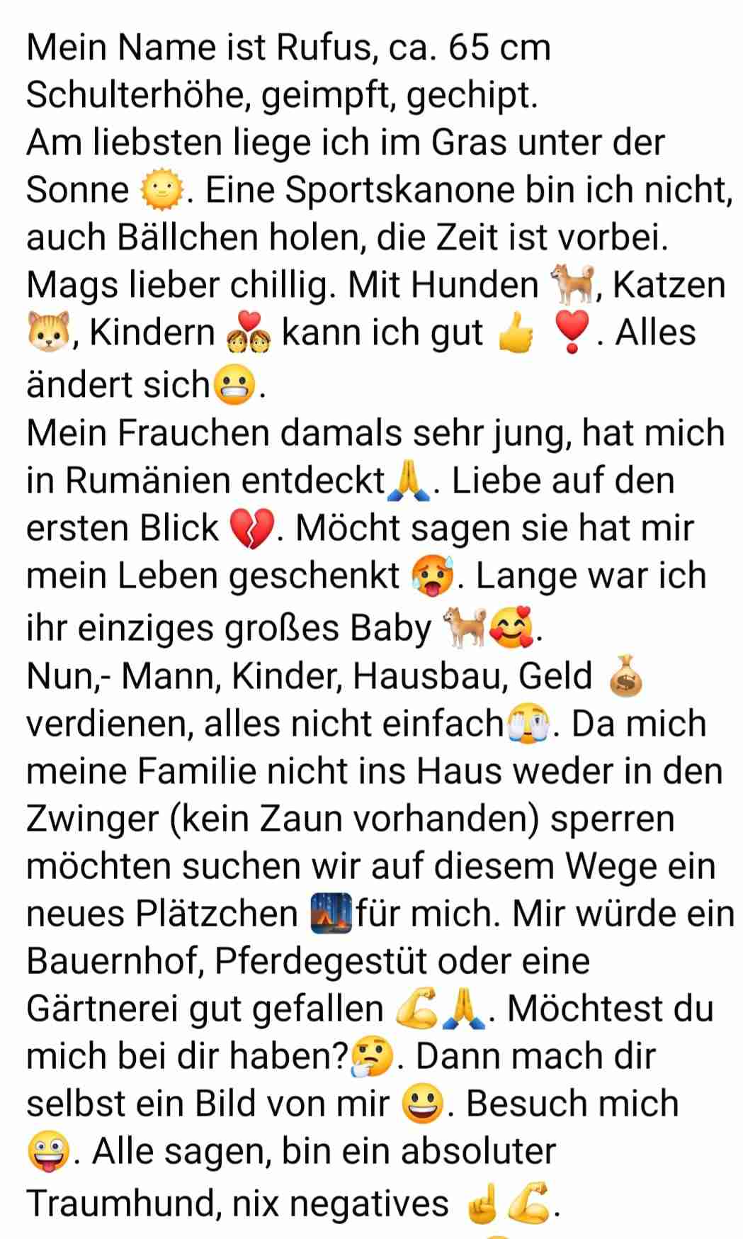 Rufus text1