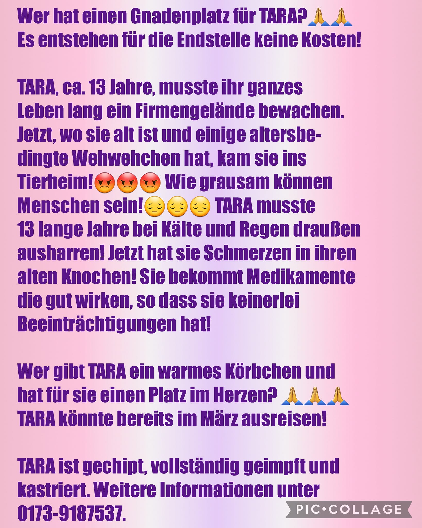 Tara text