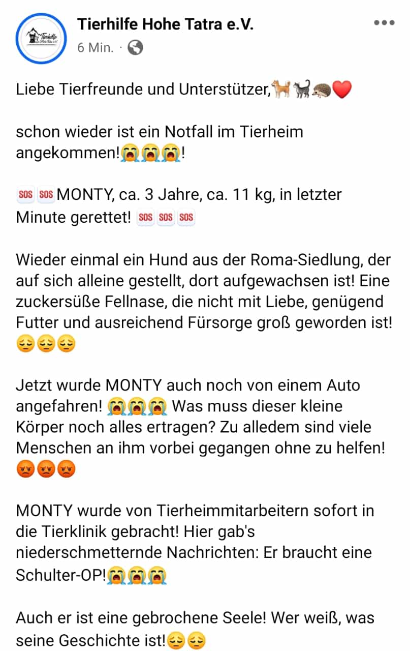 Monty text1