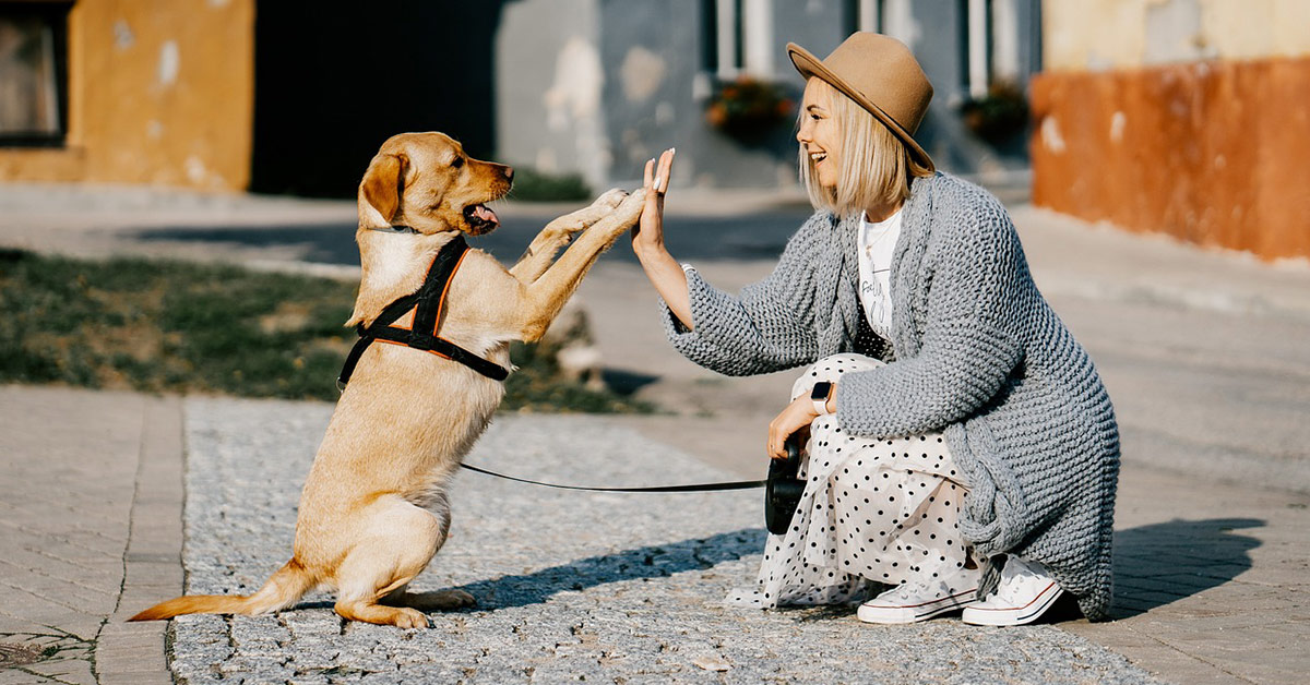 Ein Hund aus dem Ausland glücklich mit seinem neuen Menschen