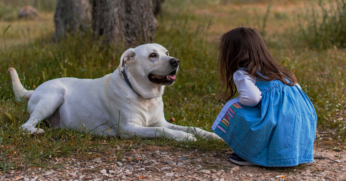 Mädchen erzählt Hund eine Geschichte