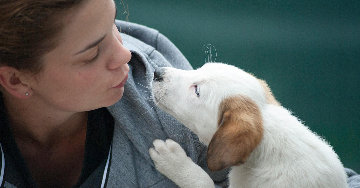 Junge Frau mit Hundewelpen